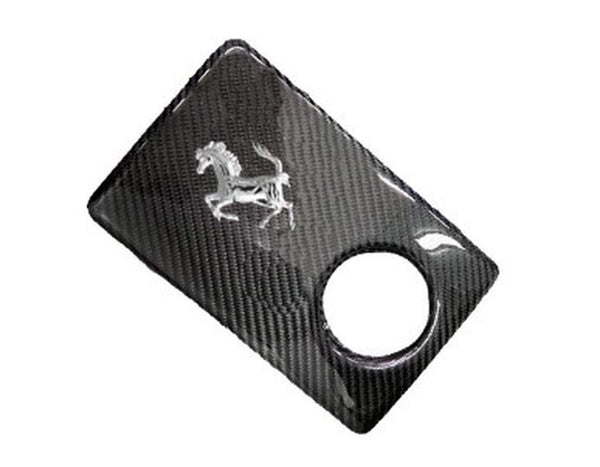 FabSpeed Ferrari Coolant Tank Cover, No Mount Tabs Style. Flat Top with Cavalino